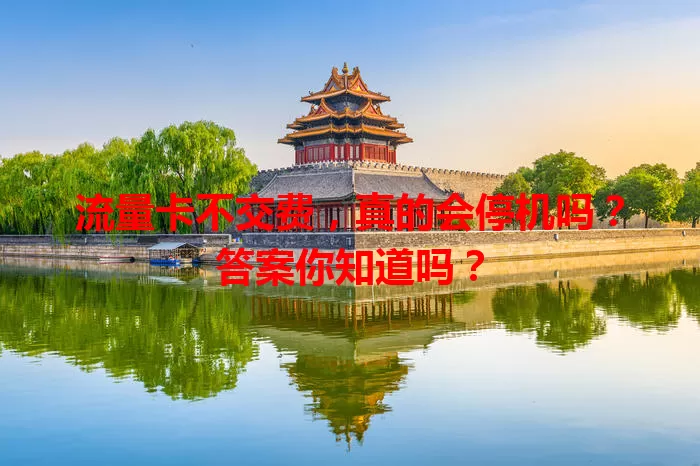 流量卡不交费,真的会停机吗?答案你知道吗?