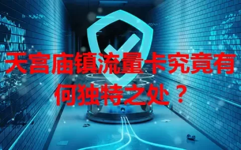 天宫庙镇流量卡究竟有何独特之处？