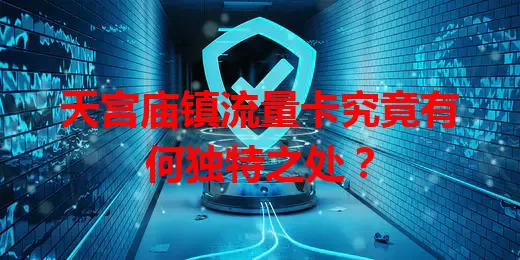 天宫庙镇流量卡究竟有何独特之处?