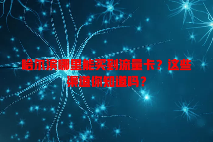 哈尔滨哪里能买到流量卡?这些渠道你知道吗?