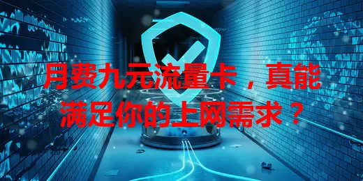月费九元流量卡,真能满足你的上网需求?