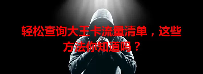 轻松查询大王卡流量清单,这些方法你知道吗?