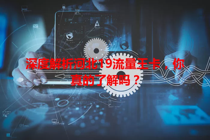 深度解析河北19流量王卡,你真的了解吗?