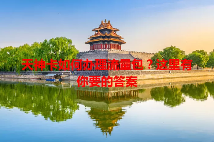 天神卡如何办理流量包?这里有你要的答案