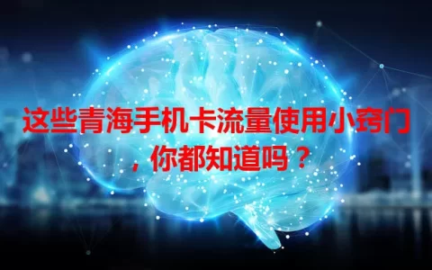 这些青海手机卡流量使用小窍门，你都知道吗？