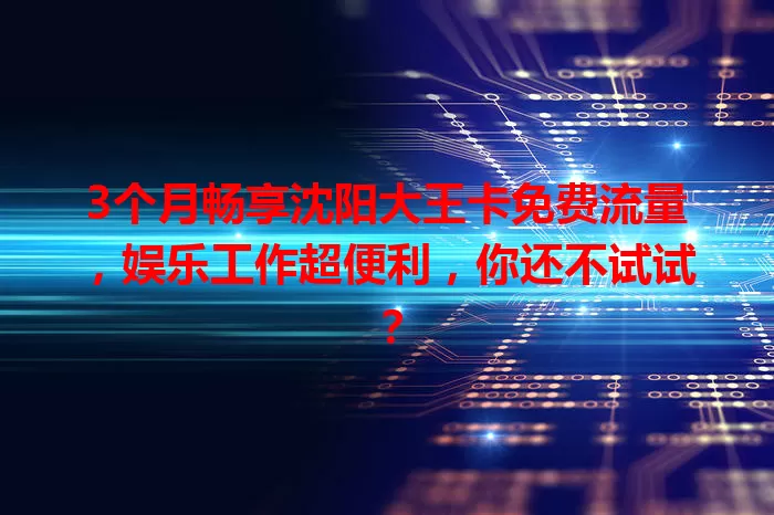3个月畅享沈阳大王卡免费流量,娱乐工作超便利,你还不试试?