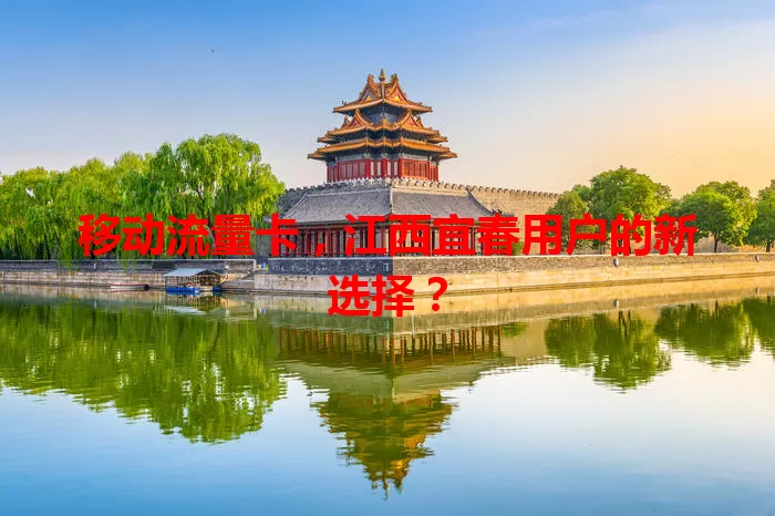 移动流量卡,江西宜春用户的新选择?