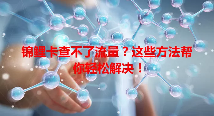锦鲤卡查不了流量?这些方法帮你轻松解决!