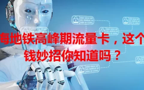 上海地铁高峰期流量卡，这个省钱妙招你知道吗？