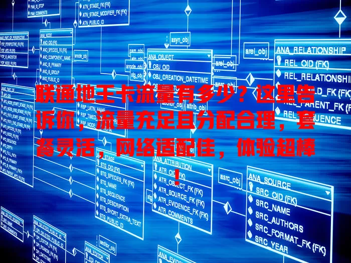 联通地王卡流量有多少?这里告诉你,流量充足且分配合理,套餐灵活,网络适配佳,体验超棒!