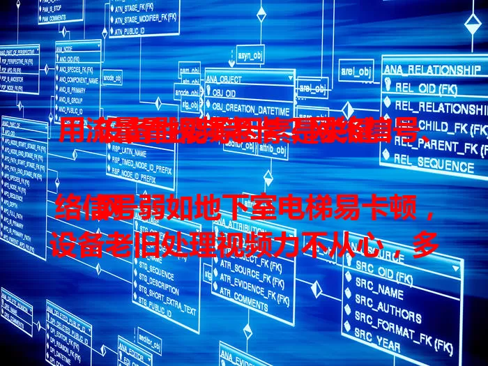 用流量看视频老卡?网络信号、设备性能等因素是关键!
网络信号弱如地下室电梯易卡顿,设备老旧处理视频力不从心,多应用抢资源,高分辨率视频要求高,运营商网络拥堵时,视频都易卡,了解原因才能畅享流畅观看体验 。