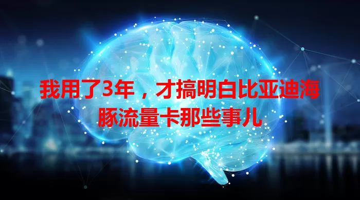 我用了3年,才搞明白比亚迪海豚流量卡那些事儿
