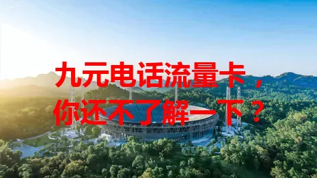 九元电话流量卡,你还不了解一下?