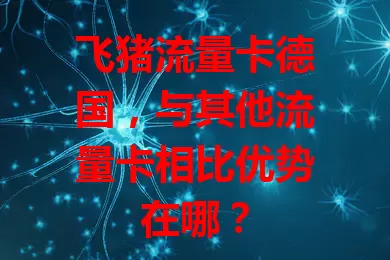 飞猪流量卡德国,与其他流量卡相比优势在哪?