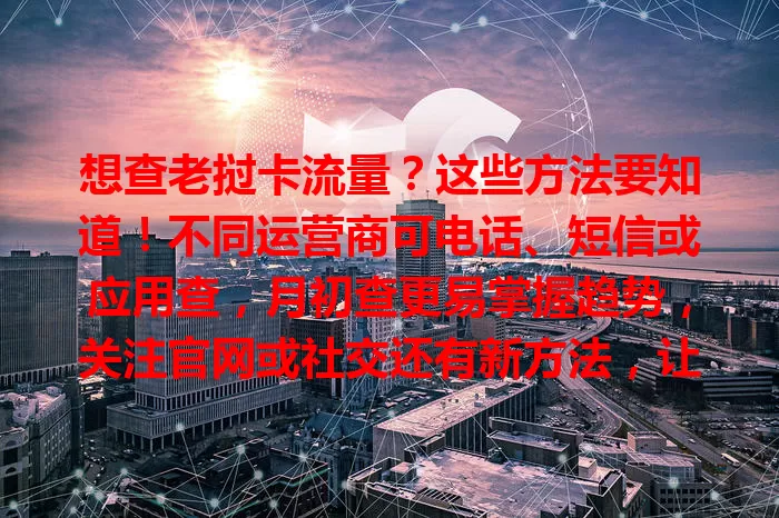想查老挝卡流量?这些方法要知道!不同运营商可电话、短信或应用查,月初查更易掌握趋势,关注官网或社交还有新方法,让你流量花得明白