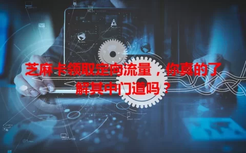 芝麻卡领取定向流量，你真的了解其中门道吗？