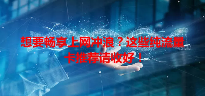 想要畅享上网冲浪?这些纯流量卡推荐请收好!