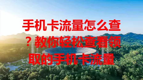 手机卡流量怎么查?教你轻松查看领取的手机卡流量