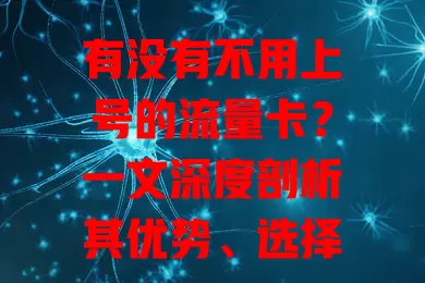 有没有不用上号的流量卡?一文深度剖析其优势、选择要点与使用体验