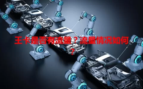 王卡是否有流量？流量情况如何？