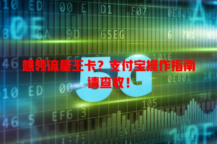 想领流量王卡?支付宝操作指南请查收!