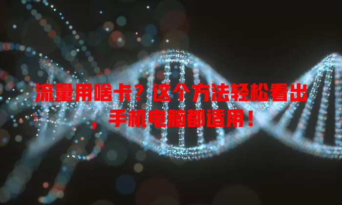 流量用啥卡?这个方法轻松看出,手机电脑都适用!