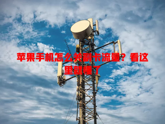 苹果手机怎么关副卡流量?看这里就懂了