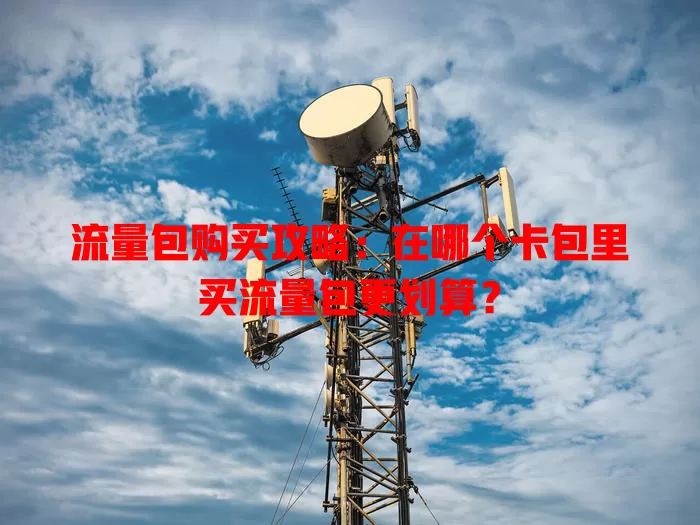 流量包购买攻略:在哪个卡包里买流量包更划算?
