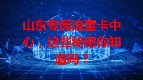 山东专属流量卡中心,这些秘密你知道吗?