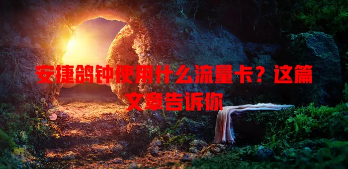 安捷鸽钟使用什么流量卡?这篇文章告诉你