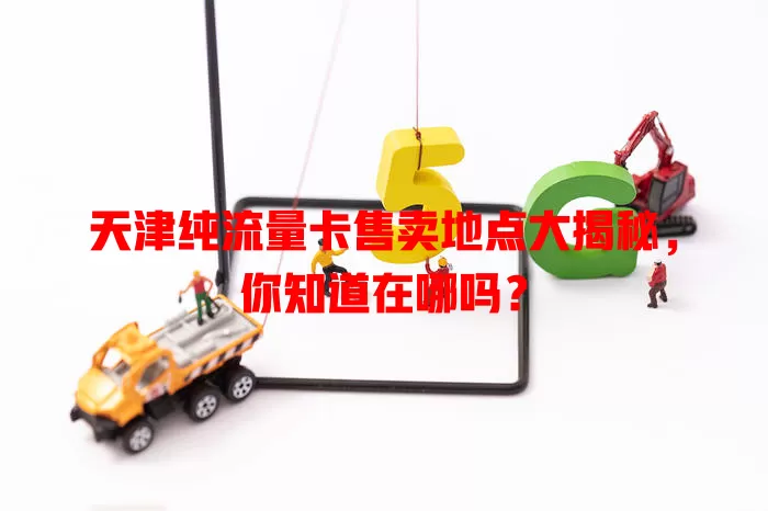天津纯流量卡售卖地点大揭秘,你知道在哪吗?