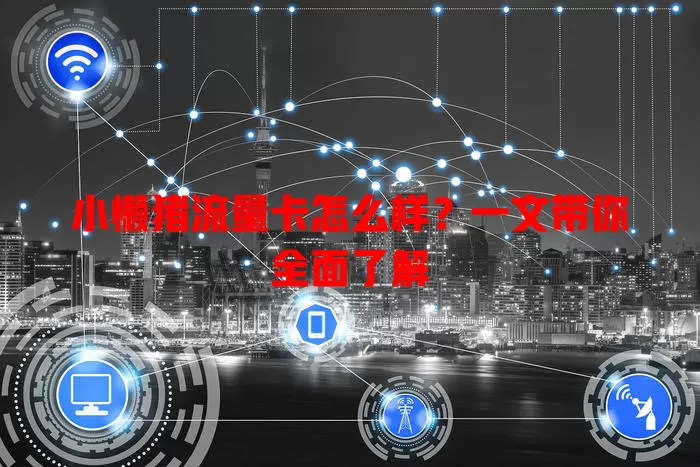 小懒猪流量卡怎么样?一文带你全面了解