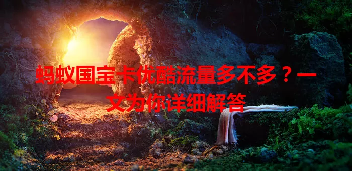 蚂蚁国宝卡优酷流量多不多?一文为你详细解答