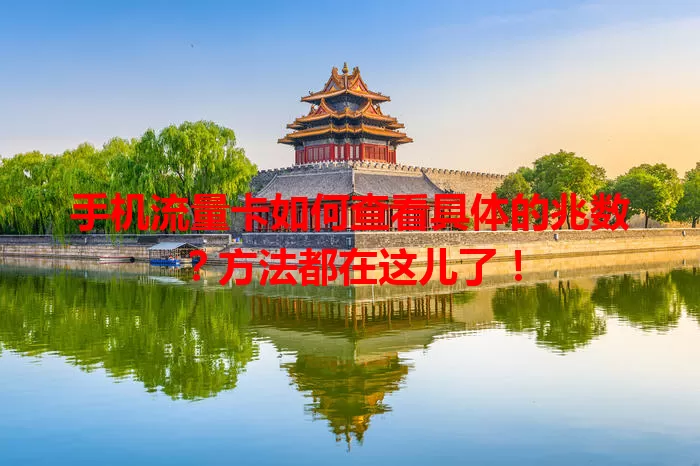 手机流量卡如何查看具体的兆数?方法都在这儿了!