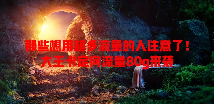 那些想用超多流量的人注意了!大王卡定向流量80g来袭