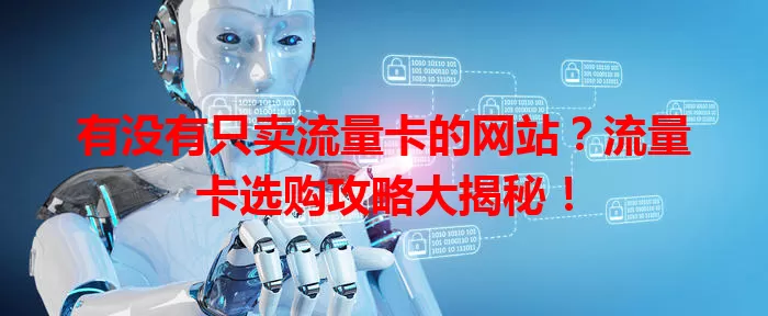 有没有只卖流量卡的网站?流量卡选购攻略大揭秘!