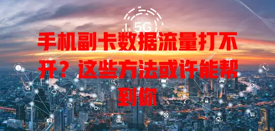 手机副卡数据流量打不开?这些方法或许能帮到你