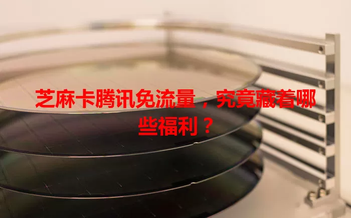 芝麻卡腾讯免流量,究竟藏着哪些福利?