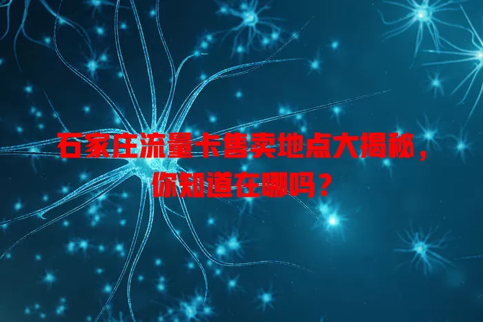石家庄流量卡售卖地点大揭秘,你知道在哪吗?