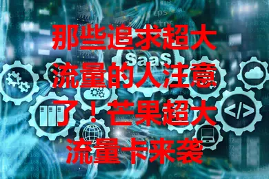 那些追求超大流量的人注意了!芒果超大流量卡来袭
