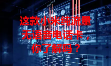 这款小米纯流量无语音电话卡,你了解吗?