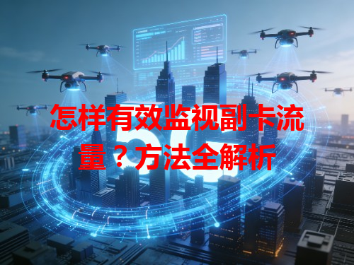 怎样有效监视副卡流量？方法全解析