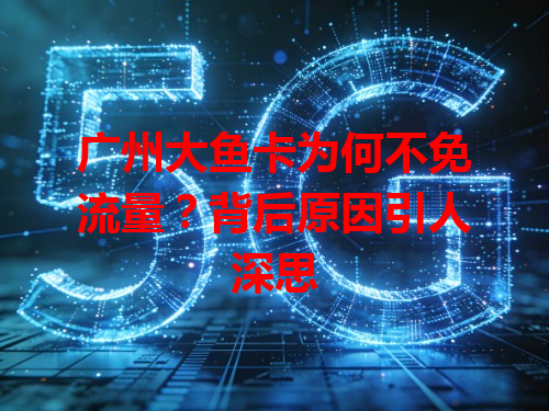 广州大鱼卡为何不免流量？背后原因引人深思
