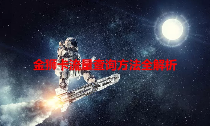 金狮卡流量查询方法全解析