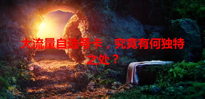大流量自选号卡,究竟有何独特之处?