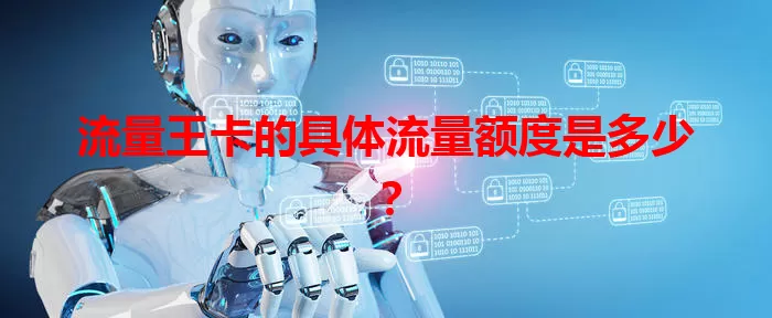 流量王卡的具体流量额度是多少?