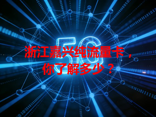 浙江嘉兴纯流量卡，你了解多少？