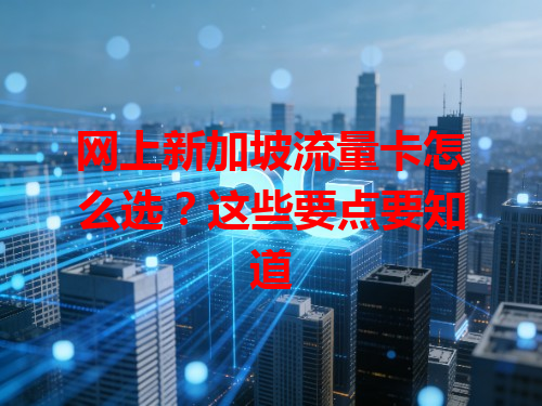网上新加坡流量卡怎么选？这些要点要知道