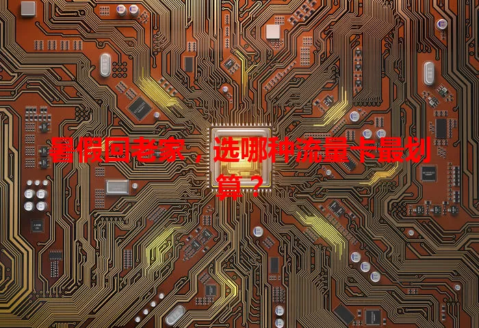 暑假回老家,选哪种流量卡最划算?