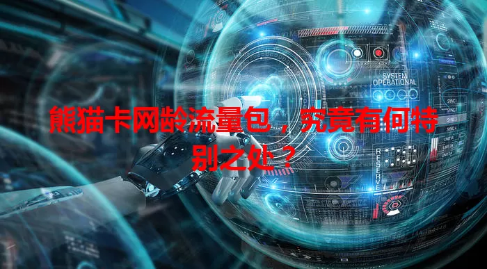 熊猫卡网龄流量包,究竟有何特别之处?